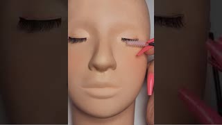 ASMR this will give you TINGLES ✨ Mannequin eyelash combing shorts