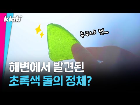 요즘 바닷가에서 사람들이 줍줍하는 이것｜크랩