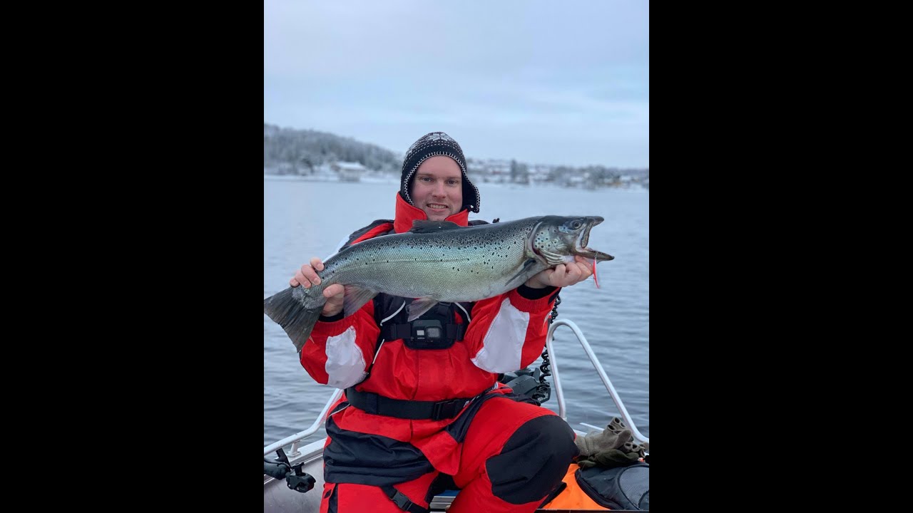 Ørretfiske på Mjøsa-Punding på spinnfiske. Trout fishing.