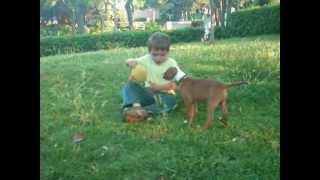 Ivan Y Koko Paseando