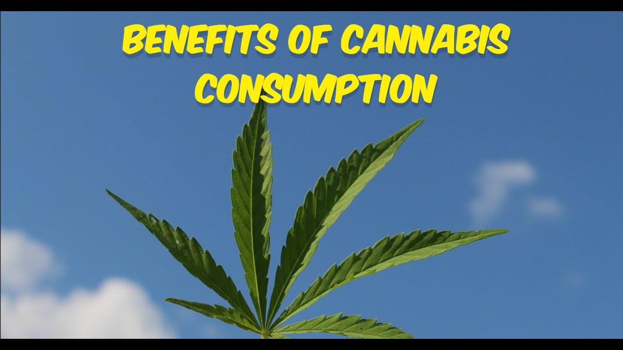 Using Cannabis? Here Are 7 Potential Perks