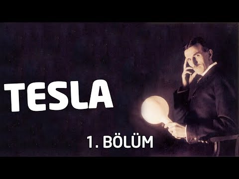 Video: Evcil Hayvanların Köpek Dostu Kasabalarda Neden Daha Zayıf Olduklarına İlişkin Teorim