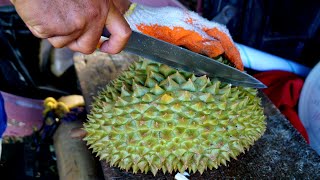 Monthong Durian Season | Thai Durian Season