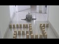 Baby shark  cup maze challenge