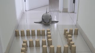 Baby Shark - Cup Maze Challenge