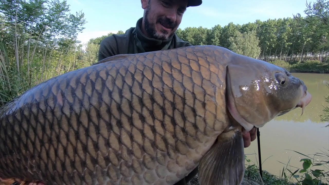 CARPFISHING | PO DI GORO