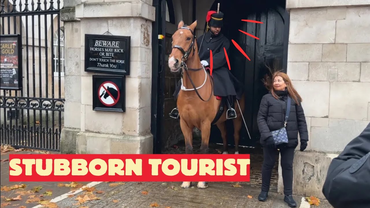 Stubborn Tourist Refuses to Move - See What Happen NEXT!!