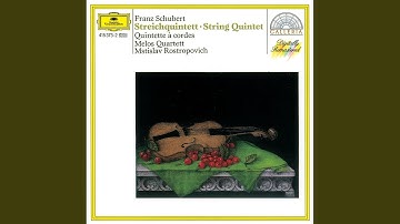 Schubert: String Quintet in C Major, D. 956: I. Allegro ma non troppo