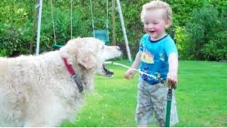 Funniest kids and Animals playing together compilation 2020 | kids and pets 2020 by Blank Namer 193 views 3 years ago 5 minutes, 5 seconds