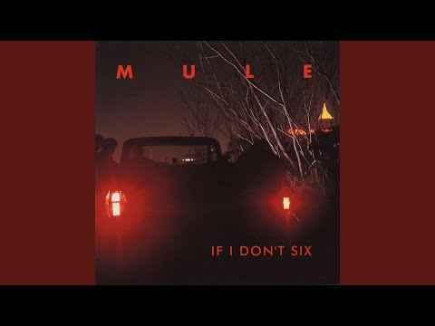 Mule — X & 29