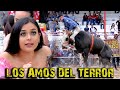 ¡¡¡ LES LLAMAN LOS AMOS DEL TERROR!!!, POR ESTOS JARIPEOS QUE PRESENTAN  SON LOS DEL RANCHO EL DESEA