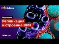 Репликация вич / Жизненный цикл вируса иммунодефицита человека (ВИЧ) / микробиология / USMLE step 1
