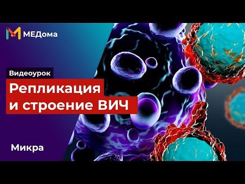 Видео: Какова функция обратной транскриптазы ВИЧ-1?