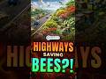 India’s First Bee Corridor 🐝🌼 Highways Go Green! | UPSC
