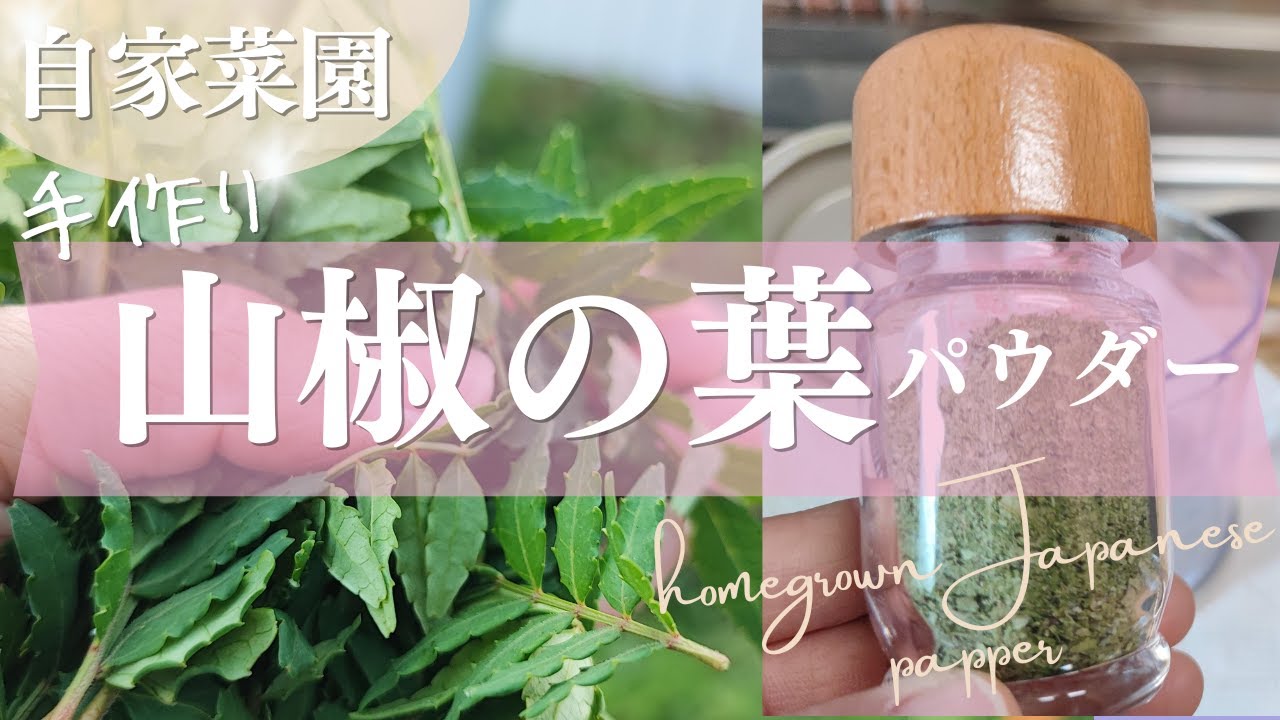 山椒の葉っぱで薬味パウダーを作ってみた】Sansho Powder田舎暮らしと