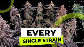 Every Cultivar We've Grown Seed to Harvest in 365 Days!