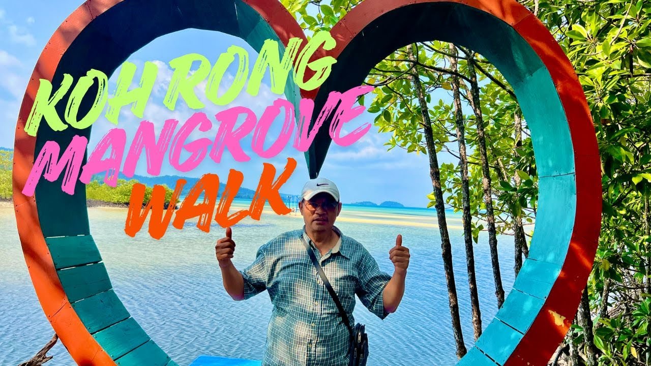 Exploring the Mangrove Forest on Foot
