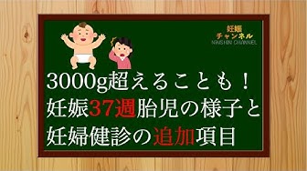 妊娠37週 Youtube