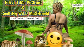 oFFgRiD aDVeNTuRe CooKinG WiLD MuSHrooM iN CoCoNuT CuRRy!
