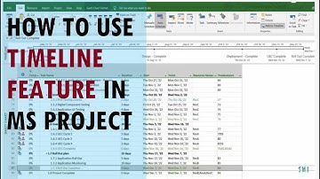 How to use timeline feature in MS Project