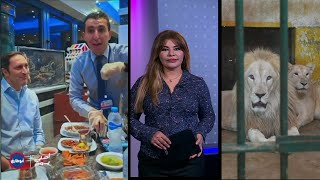 زيارة علاء مبارك لكشري أبو طارق بالقاهرة تثير جدلا
