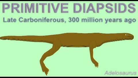 PL2_FOSSIL AQUATIC REPTILES_BASAL ENALIOSAURS