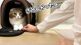 🐈久しぶりに外出したら猫がすねてしまいました…泣