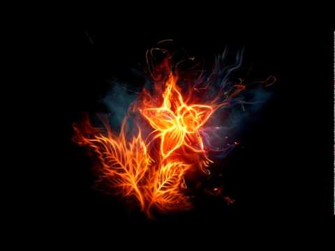 Bjork & Anthony Hegarty - Dull Flame Of Desire (Ooah Remix)