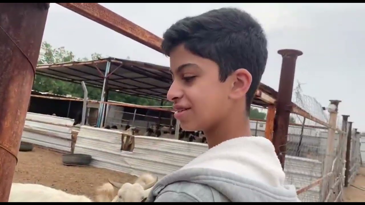 مقطع الرجعه ( فلوق المزرعه )