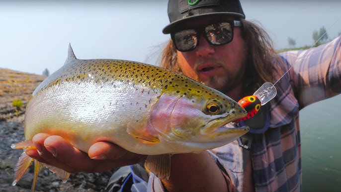 TROUT FISHING 101 - Beginners Guide To SUCCESS! 