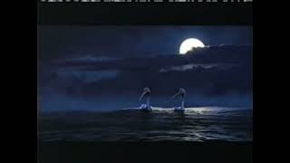 Finding Nemo (2003) - TV Spot (Again, Credit To @BrettsMediaArchive For This) Reversed