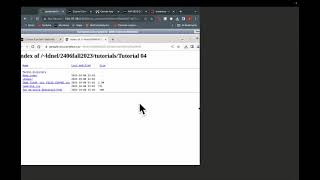 2406 Tutorial 4