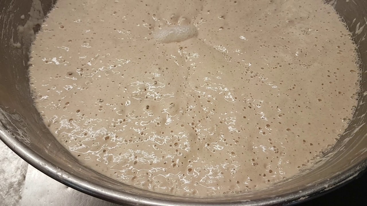 Levain liquide YouTube