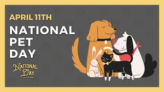 National Pet Day | April 11th - National Day Calendar