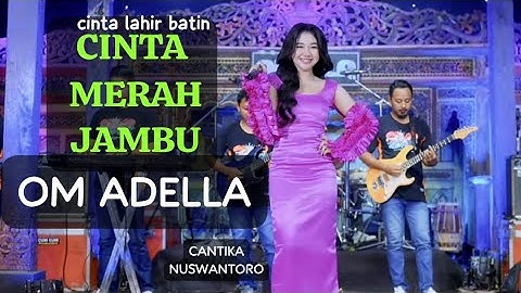 TERBARU‼️Cinta Lahir Bathin ( CINTA MERAH JAMBU ) - Cantika Nuswantoro Adella - OM ADELLA