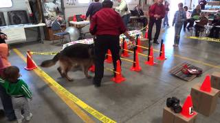 CVFD Open House 2011 Rescue Dogs