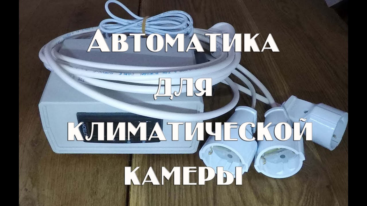 Камера созревания сыра своими руками фото 389