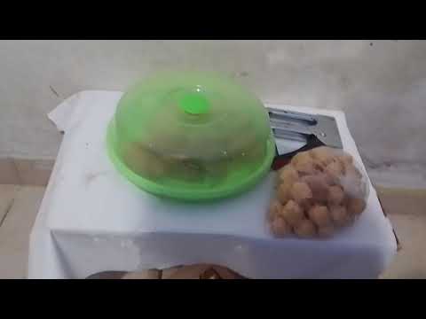 Satu Sisi - @Dewa19  Feat Ari Lasso \u0026 Aksan [Konser Pandawa Lima]