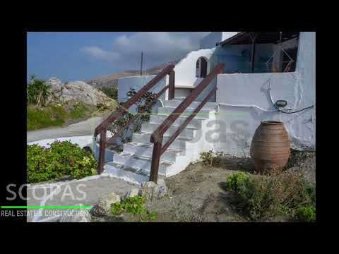 Scopas: N049 House