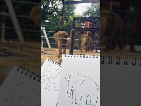 水面まどかと動物園スケッチ