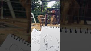 水面まどかと動物園スケッチ