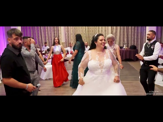 Denis Spaniolu  de joc Live  (Nuntă Alex&Roxana)18.08.2023 👰‍♀️🤵🏻‍♂️🥰 class=