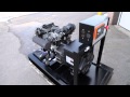 Perkins Two Cylinder Diesel Engine Generator 