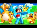 Having a pokemon family in minecraft