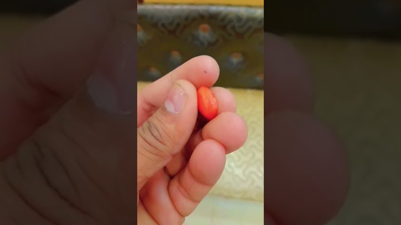 Real Marjan Stone 🧡 | 