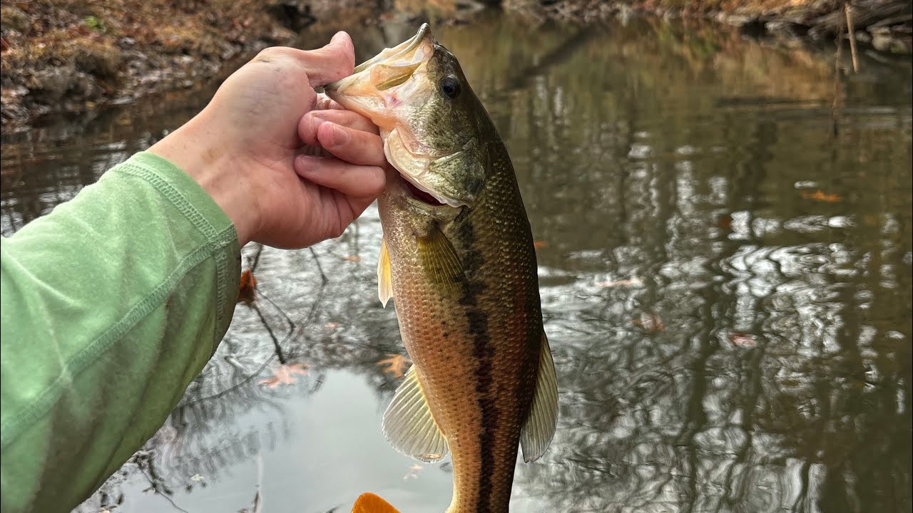 Kayak Fishing UNTOUCHED Creek For BIG BASS