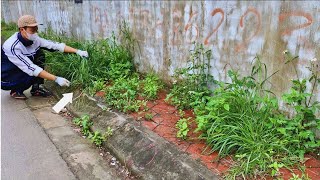 Volunteer to clean up overgrown grass on footpaths  Turn grass roads into clean, beautiful roads