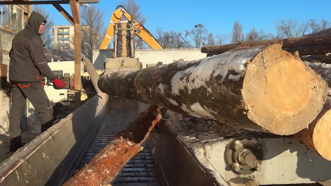 EXTREME TEST — Log vs Shredder