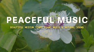 Pure Piano Music, Relaxation Music For Depressive States ☘️ Pure Spa Music #piano #relaxingmusic