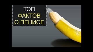 6 фактов о пенисе!